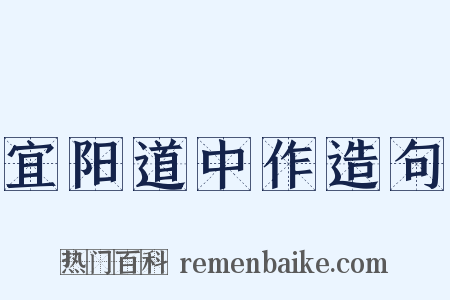 宜阳道中作造句是什么意思的图片